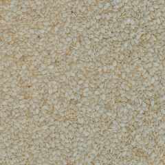 White sesame seed
