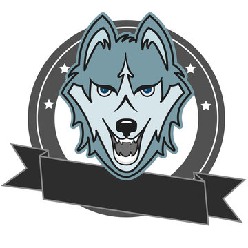 Modern professional wolf  logo for a club or sport team