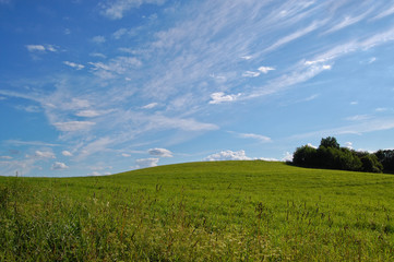 Summer landscape with green meadow and blue sky.