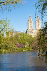 spring landscape in the Central park, New York, USA