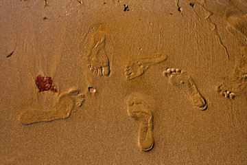 Footprints in the sand. Memories of vacation as a family.