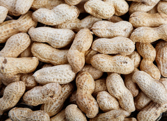 dry peanuts