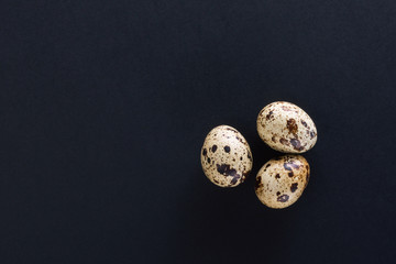 quail egg on a black background. Food image with space for text