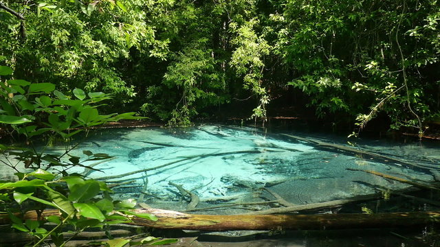 Panning left video of Emerald pool in Thailand (Blue pool), Krabi province