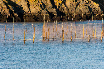 Fishing weir at base of a cliff.