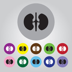 Human kidneys icon