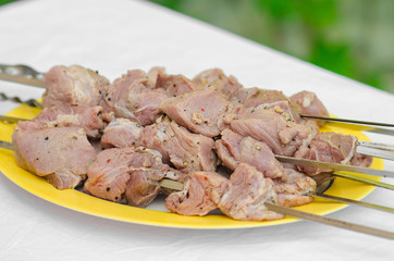 Picnic and cooking theme: raw meat for barbecue on a plate lying on a background of green grass in nature