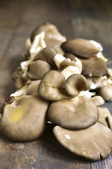 Oyster mushrooms.