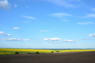 Obraz premium Beautiful spring landscape (meditation, anti-stress - concept)