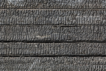 Background of burnt wood texture