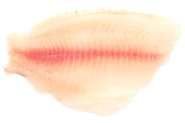raw fish fillet