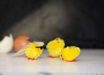 diese Ähnlichkeit!, Karl Lagerfeldküken mit Fans