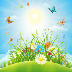 Naklejki  Letni lub wiosenny krajobraz łąki z kwiatami, trawą i motylami