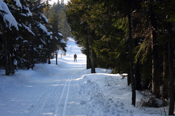 Mézenc, ski de fond, Haute-Loire, Auvergne, France