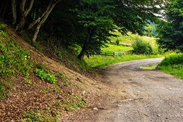 rural road to agricultural meadow