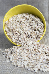 Oat flakes in bowl