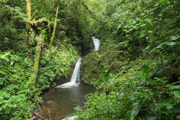 A view of the waterfall in the amazonian jungle
