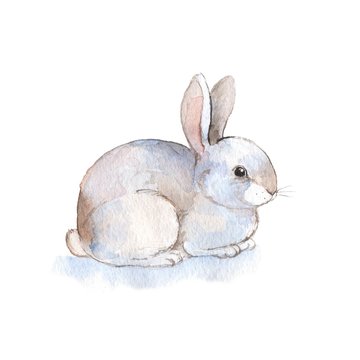 White rabbit 2. Watercolor illustration. Hand-drawn 