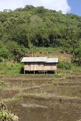 casa en isla de Flores