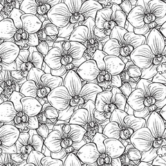 Floral seamless pattern with hand drawn orchid flowers