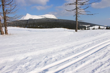 Mézenc, ski de fond, Haute-Loire, Auvergne, France