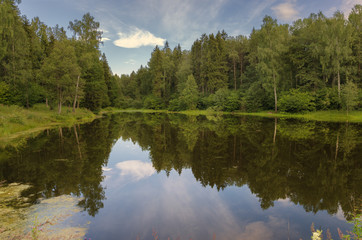Fototapeta na wymiar Forest pond