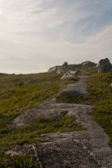 Rock path leading to a view yet seen.