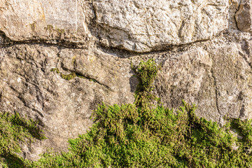 Старая каменная стена покрытая мхом. Текстура.Фон.