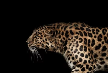 Foto auf Acrylglas Leopardenporträt auf Schwarz © Olga Itina