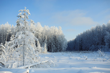 monochrome winter landscape