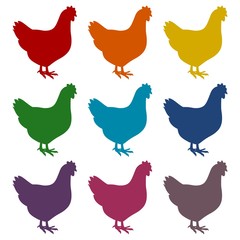 Chicken icons set