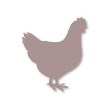 Chicken icon 