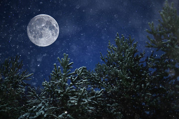 Fototapeta na wymiar unusual moons in winter landscape