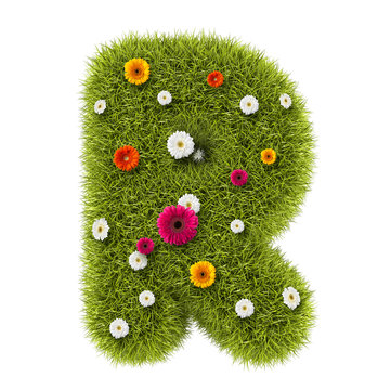 The letter "R" of grass and flowers