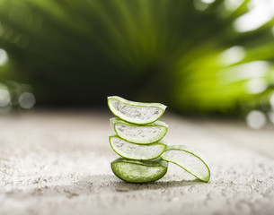 Aloe Vera Leaves