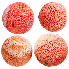 four balls from orange sponge coral gemstone