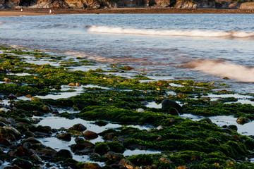 Rising tide of the Bay of Fundy