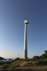 Molino de viento