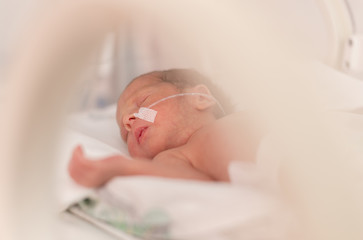 Premature newborn  baby girl