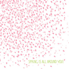 'Spring is all around you!' card. Cherry petals. Sakura blossom. Scattering of tiny pink petals. Floral background with copy space. Hanami. Japanese Culture. Cherry blossom viewing.