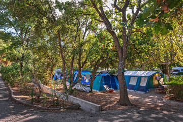 Tourist tent in forest camp among meadow