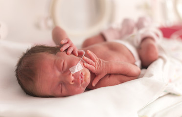 Premature newborn  baby girl