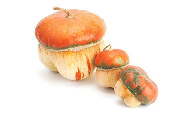 ripe, orange mini pumpkin