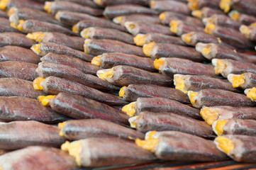 Close up salted Snake Skin Gourami fish drying