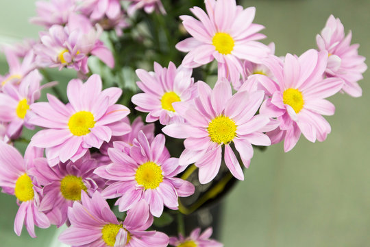Springtime pink flowers background