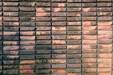 Brick wall / Background of old brick wall.