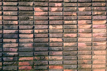 Brick wall / Background of old brick wall.