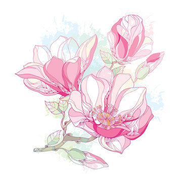 pink magnolia flowers watercolor style clip art preview