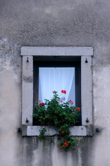 Fototapeta na wymiar Window of Medieval Castle