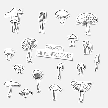 Set of vector hand drawn mushrooms.